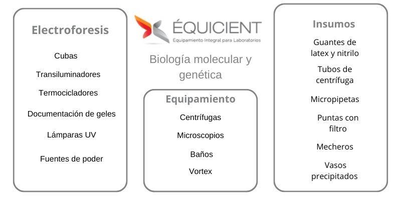 Elementos para tu laboratorio de biologa molecular y gentica 